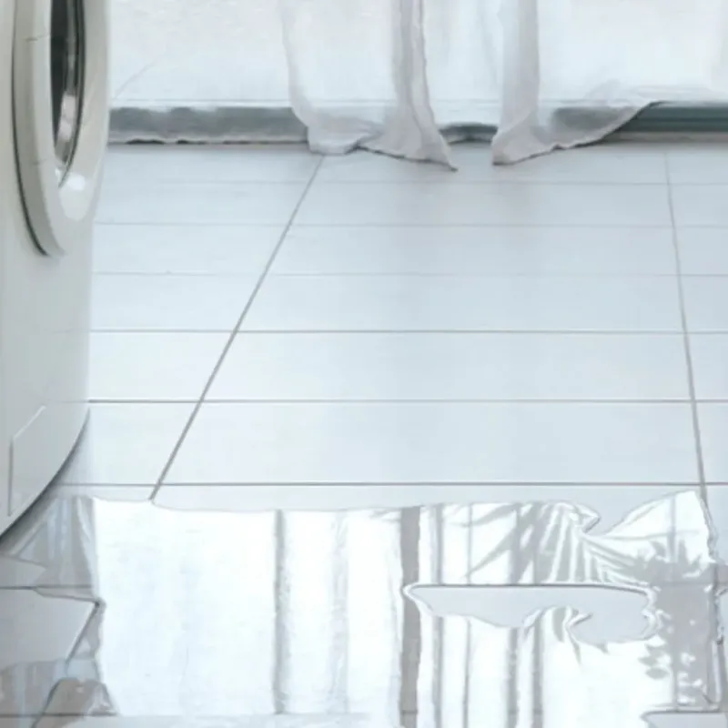 Appliance Leak Cleanup in Gilman, IL