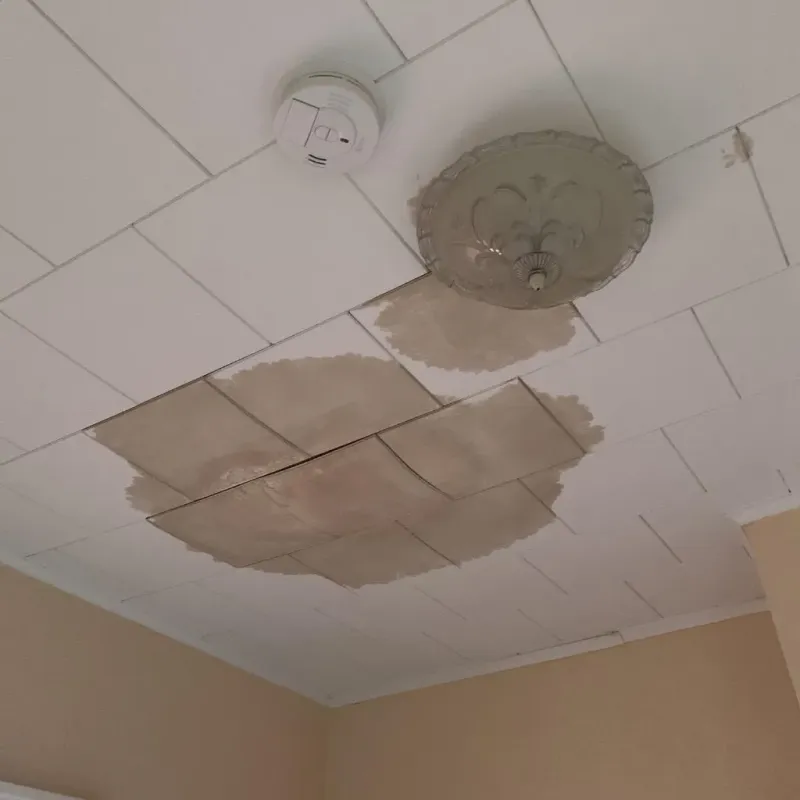 Ceiling Water Damage Repair in Gilman, IL