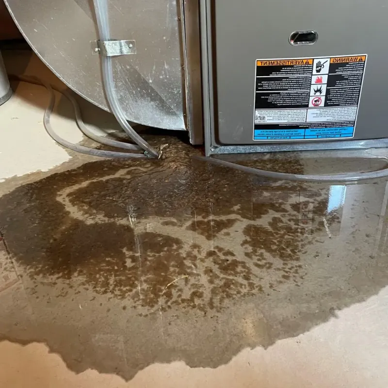 Pipe Burst and Leak Restoration in Gilman, IL