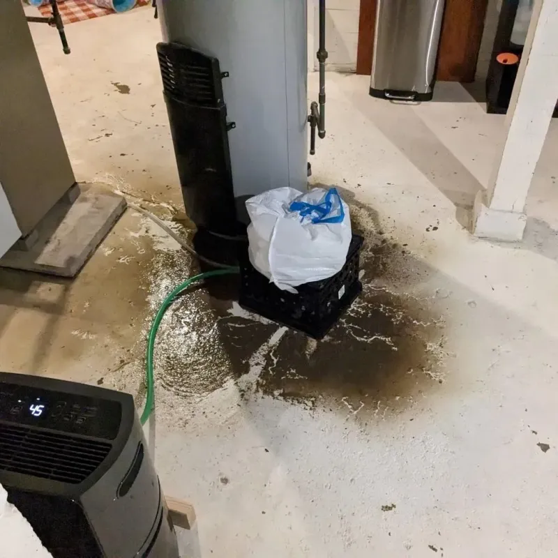 Sewage Backup Cleanup Service in Gilman, IL